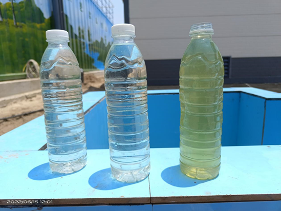 實測農村生活污水處理設備，水質達標無死角，1臺頂5臺（2）